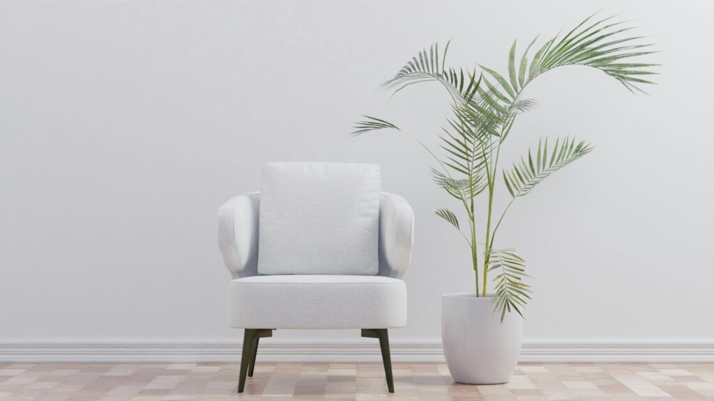 pexels dada design 240566386 12277409